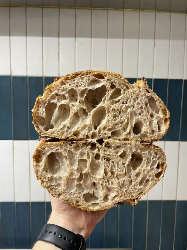 Sourdough mollica aperta